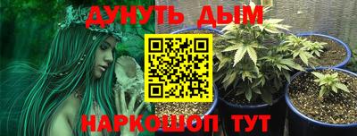 шишки Старая Купавна
